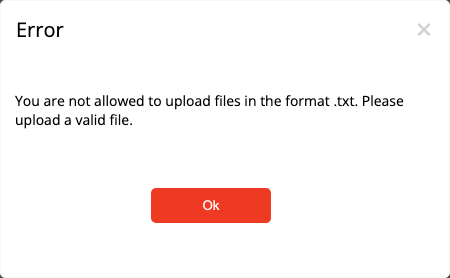 Fehlermeldung bei einem nicht unterstützten Importformat