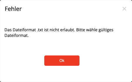 Fehlermeldung bei einem nicht unterstützten Importformat